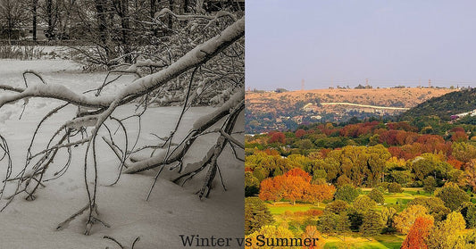 Winter vs Summer nutritional shifts | 32Gi United Kingdom