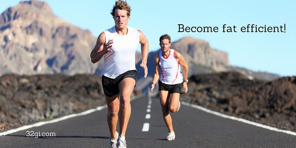 What being fat efficient can do for you! | 32Gi United Kingdom